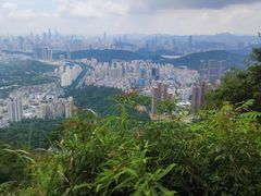 -梧桐山风景名胜区