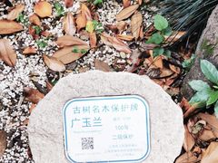 -上海艾本精品酒店