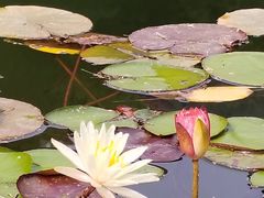 -午潮山国家森林公园