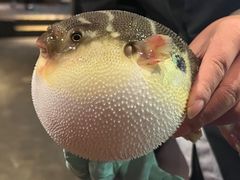 -永安鱼庄·镇江菜(东吴路店)