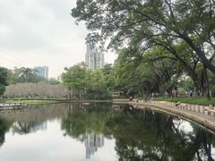 -晓港公园