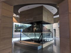 -安徽省地质博物馆