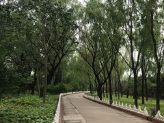 -森林公园(尖草坪区)