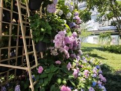 -常州古运河南大街文化旅游区-人民公园