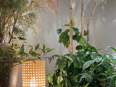 -十二舍·湯物素煮(江泰潤政店)