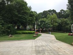 -金鸡山公园