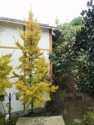 -莲生母婴月子中心(清水河公园店)