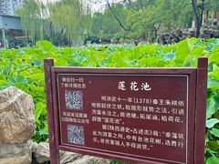 -莲湖公园