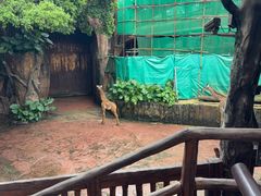 -长鹿旅游休博园