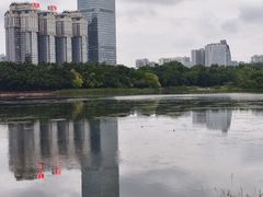 -南宁南湖公园
