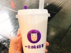-一只酸奶牛(八一路店)