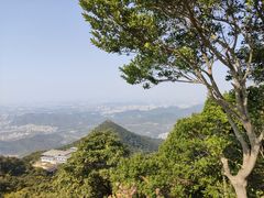 -梧桐山风景名胜区