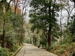 -岳麓山风景名胜区