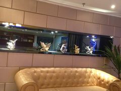 -海派健身(洋河力帆店)