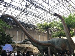 -国家自然博物馆