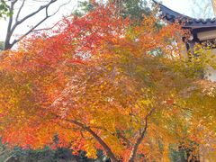 -大渔铁板烧(中山路八佰伴店)