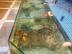 -小天鹅戴斯酒店鲸鲨百汇创作料理