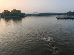 -石家庄市植物园