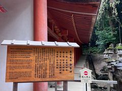 -奈良公园