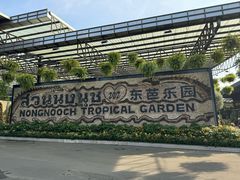 -东芭乐园