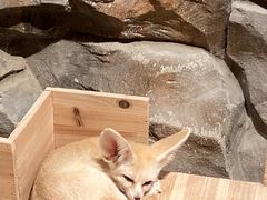 -绿色星球动物主题公园