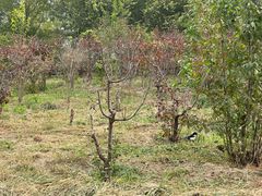 -天津东丽湖风景区