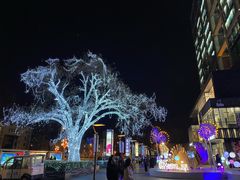 -火齐潮汕砂锅粥(五道口店)