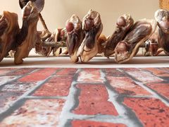 -阿婆情腊排骨火锅(金虹路店)