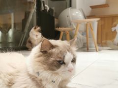 -星光摄影器材城