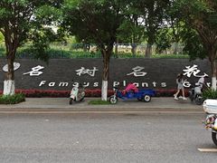 -东莞植物园