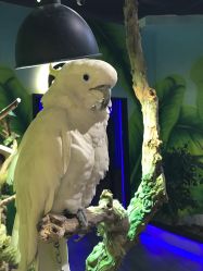 -未来动物城主题公园(正弘城店)