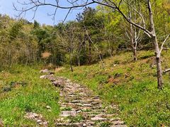 -东天目山风景区