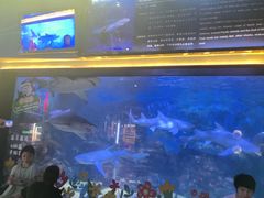 -烟台海昌鲸鲨海洋公园