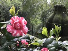 -南山植物园