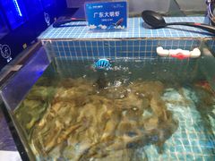 -小天鹅戴斯酒店鲸鲨百汇创作料理