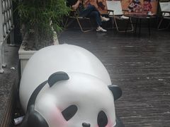 -轩客会(熊猫书店)