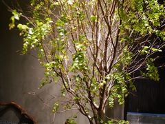 -森SPA·泰式按摩·精油Massage(宝安中心店)