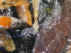 -伯乐居茶艺馆(石岐大信店)