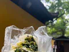 -西园戒幢律寺