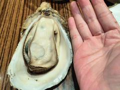 -蚝堡海鲜·威海菜·海肠捞饭·烧烤·亚洲吃蚝公司(幸福门店)
