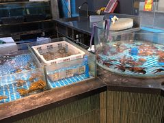 -争先鲜·蒸汽海鲜自助·鲜切牛肉