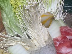 -春润大地海南椰子鸡(沙井京基百纳广场店)