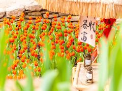 -云丘山景区