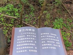 -茅兰沟国家森林公园