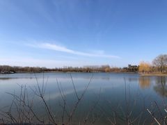 -东郊湿地公园