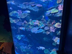 -暹罗海洋世界