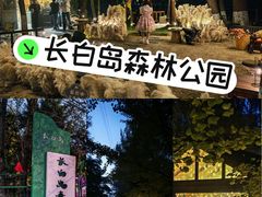 -长白岛森林公园