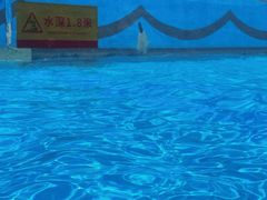 -汤山欢乐水世界