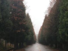 -山王坪喀斯特国家生态公园