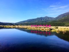 景点-腾冲北海湿地